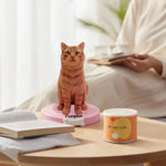 Custom Orange Tabby Cat Bobblehead